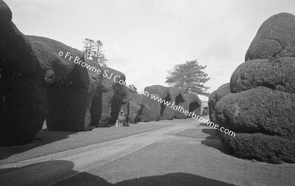 HEADFORD HOUSE  THE YEW WALK